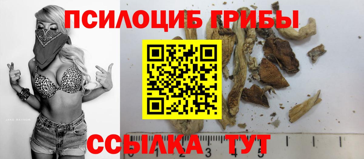 Губкинский  Галлюциногенные грибы Cubensis  Вход с VPN 
