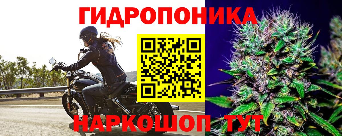 Губкинский  Канабис VHQ  Вход с VPN  Конопля сатива 